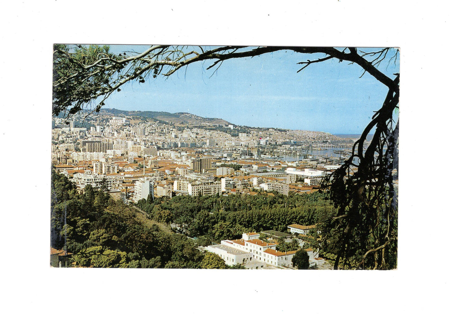 Ansichtskarte Algier / Algerien