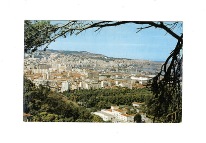 Ansichtskarte Algier / Algerien