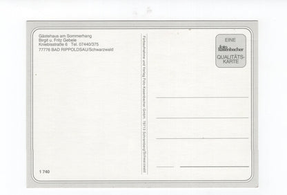 Ansichtskarte Bad Rippoldsau / Schwarzwald / Gästehaus am Sommerhang