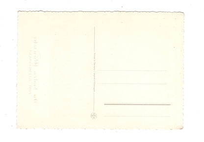 Ansichtskarte Glückwünsche / Glückwunsch zum Geburtstag / L1-59