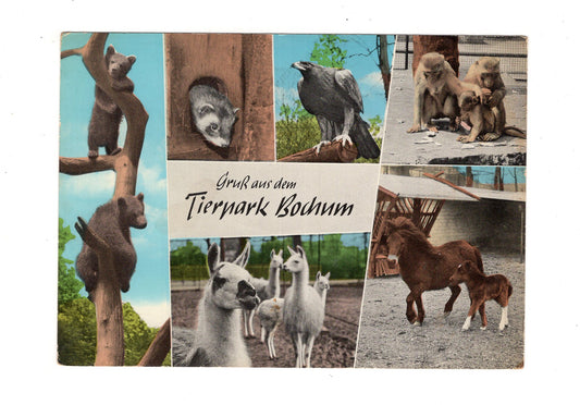 Ansichtskarte Tierpark Bochum