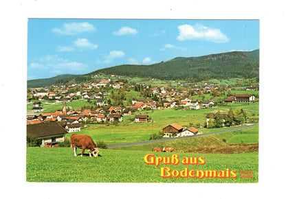 Ansichtskarte Bodenmais / Bayerischer Wald