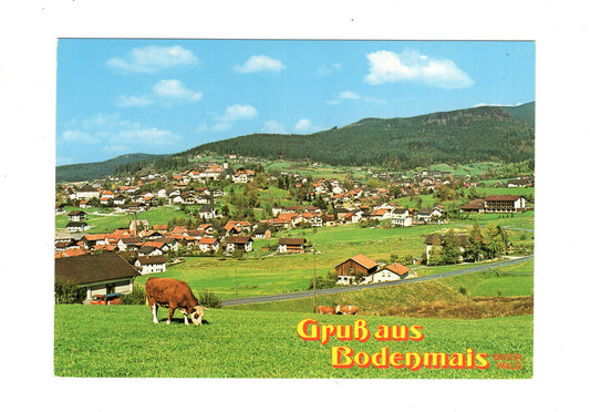 Ansichtskarte Bodenmais / Bayerischer Wald