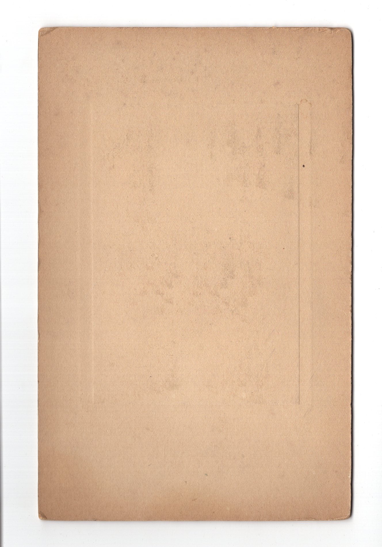 Fotografie Junge Dame / Frau - Köln 1910er