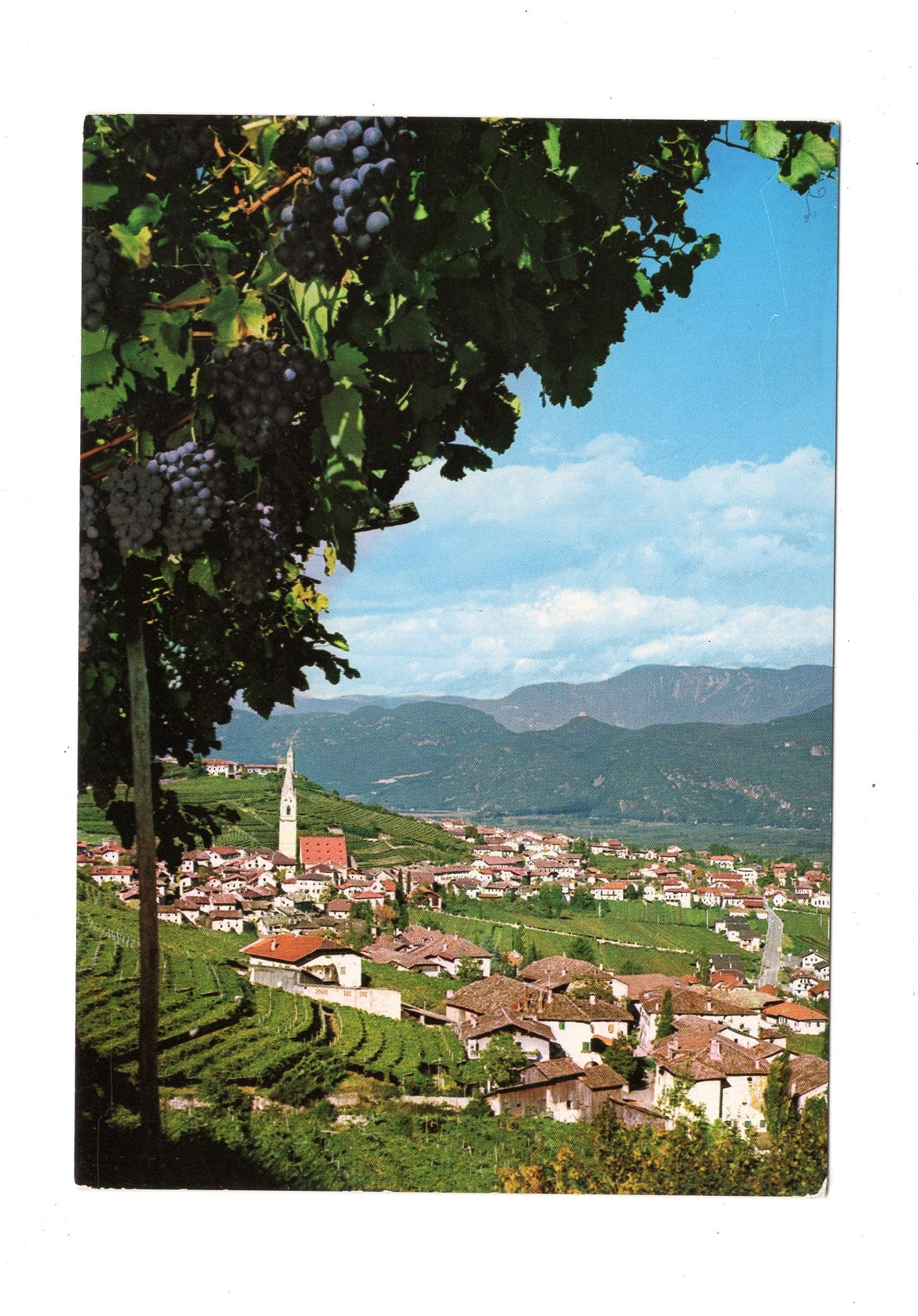 Ansichtskarte Etschtal / Tramin an der Weinstraße / Italien