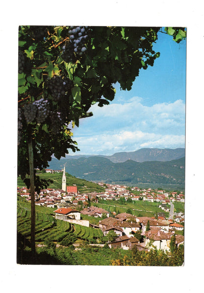 Ansichtskarte Etschtal / Tramin an der Weinstraße / Italien