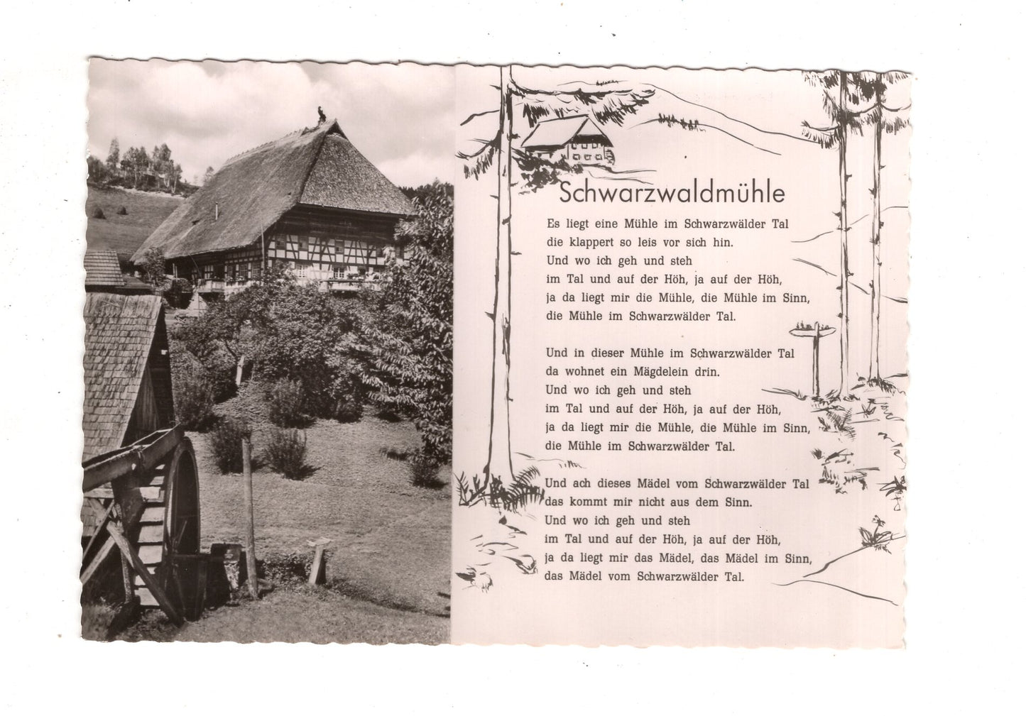 Ansichtskarte Schwarzwald / Schwarzwaldmühle / J1-68
