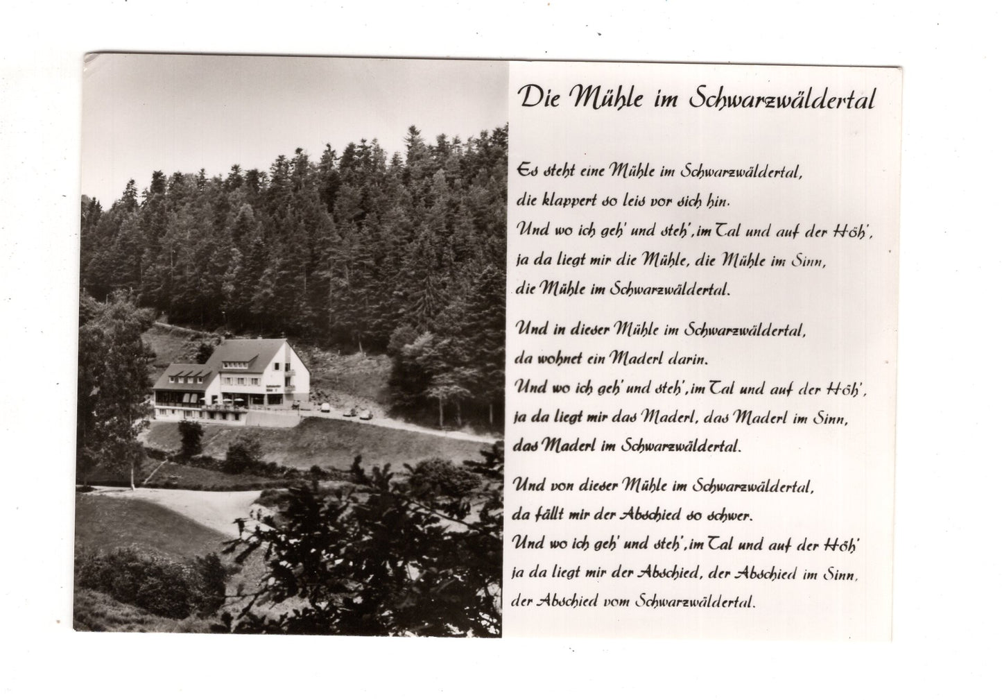 Ansichtskarte Schwarzwald / Die Mühle im Schwarzwäldertal / J1-68