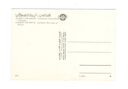 Ansichtskarte Algier / Alger-La-Blanche / Kathedrale / Algerien