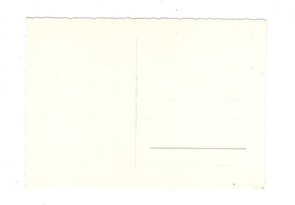 Ansichtskarte Glückwünsche / Glückwunsch zum Geburtstag / L1-59