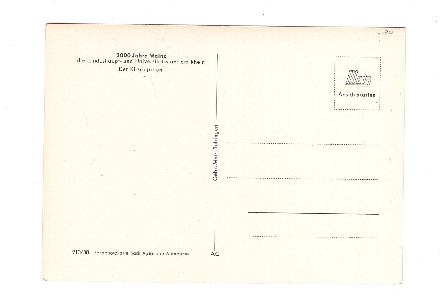 Ansichtskarte Mainz / Der Kirschgarten