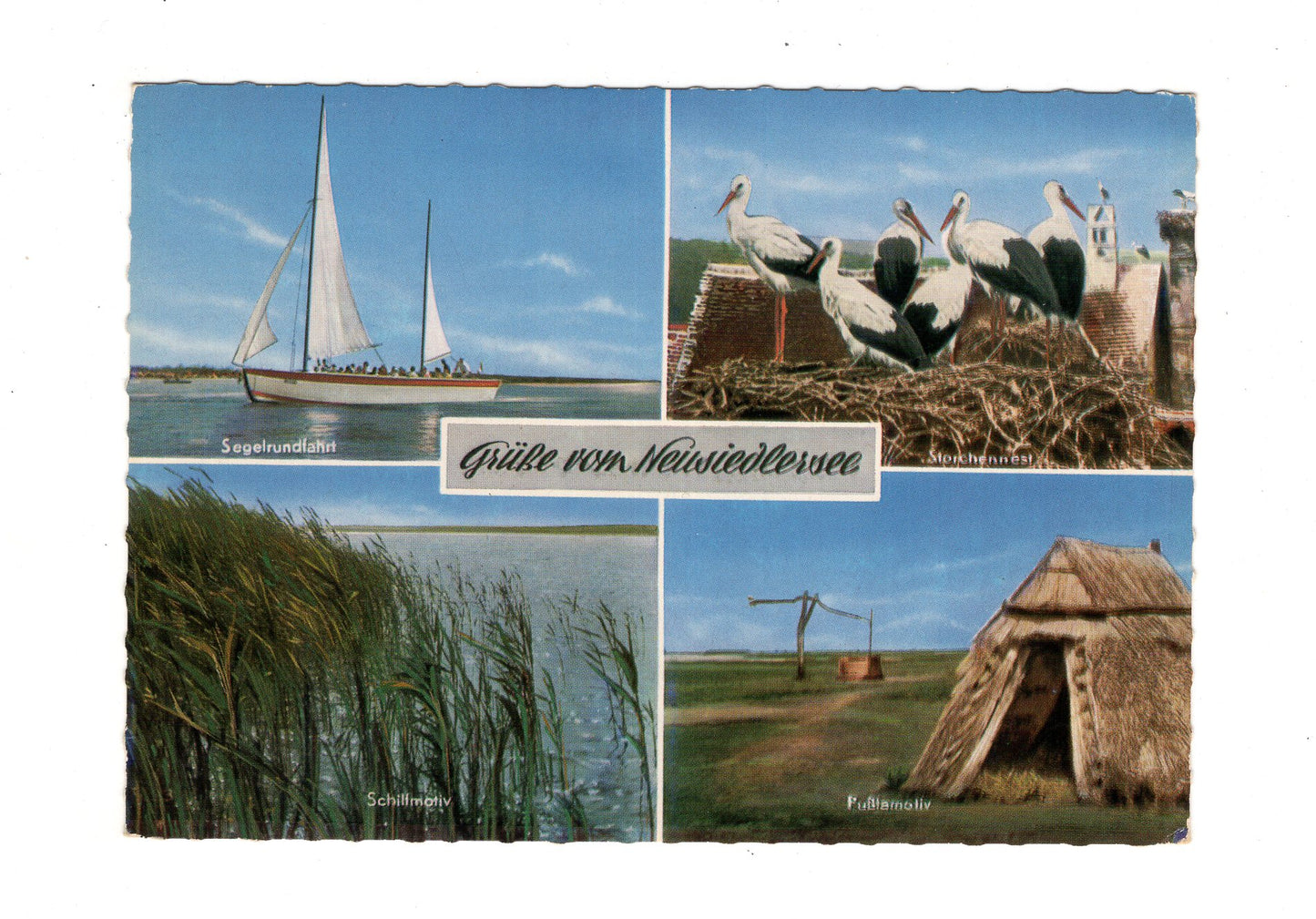 Ansichtskarte Neusiedlersee / Storchennest / Segelrundfahrt +++