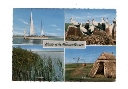 Ansichtskarte Neusiedlersee / Storchennest / Segelrundfahrt +++