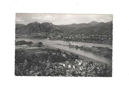 Ansichtskarte Blick auf das Siebengebirge und Insel Nonnenwerth