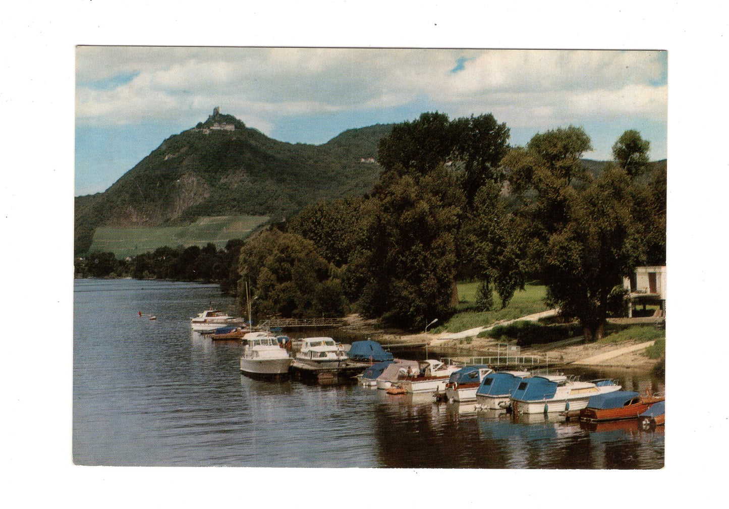 Ansichtskarte Rheinufer bei Bad Honnef mit Blick auf den Drachenfels