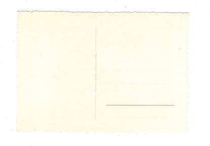 Ansichtskarte Glückwünsche / Glückwunsch zum Geburtstag / L1-59