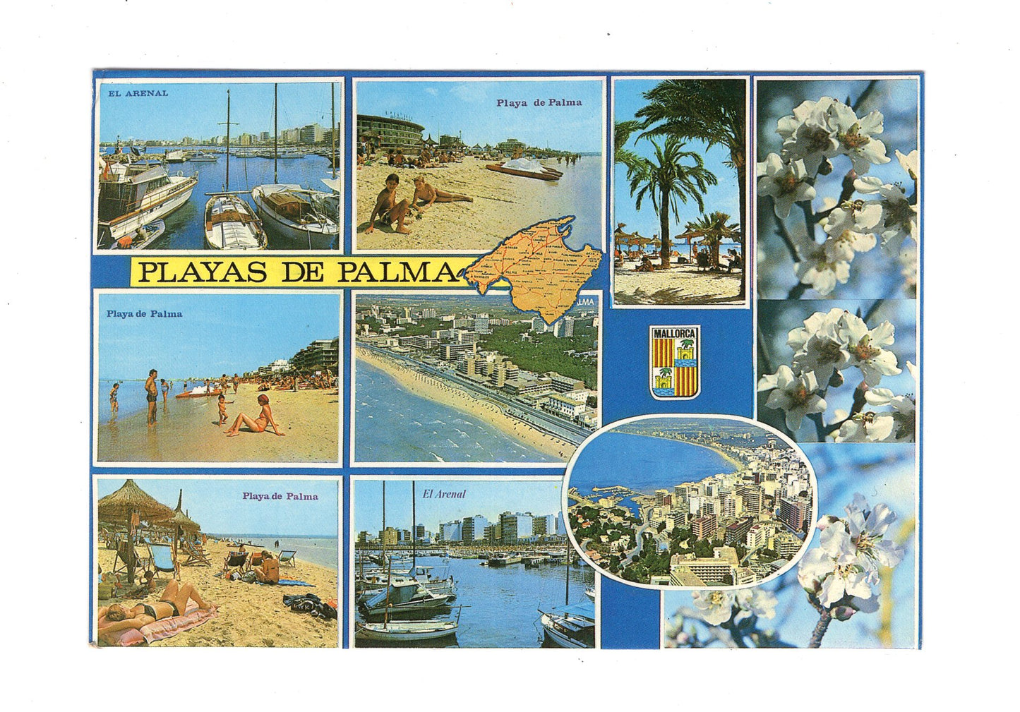 Ansichtskarte Mallorca / Playas de Palma / Spanien