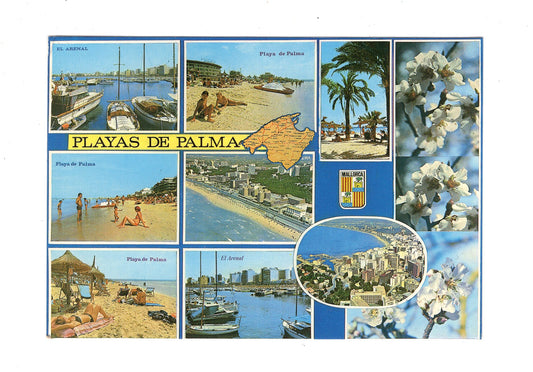 Ansichtskarte Mallorca / Playas de Palma / Spanien