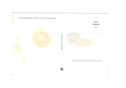 Ansichtskarte Hamburg / Hagenbeck´s Tierpark / I1-70