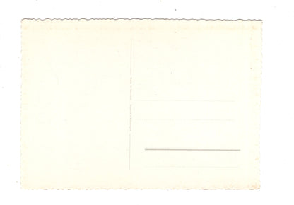 Ansichtskarte Glückwünsche / Glückwunsch zum Geburtstag / L1-59