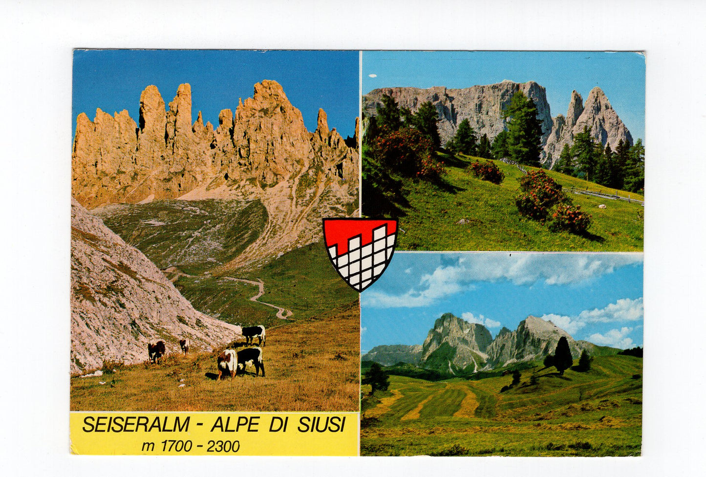 Ansichtskarte Dolomiten / Seiseralm / Südtirol / Italien