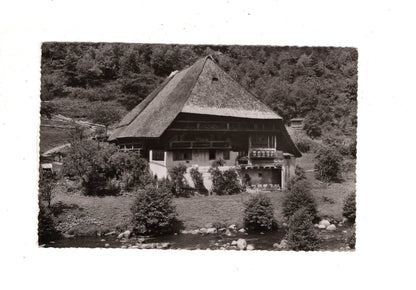 Ansichtskarte Schwarzwald / Schwarzwaldhaus / J1-68