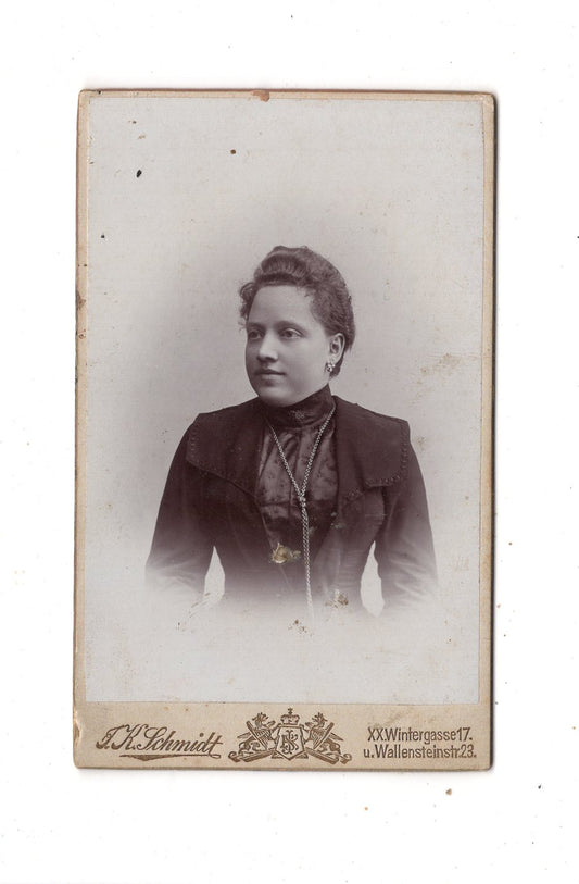 Fotografie Damenportrait - Wien um 1900 / CDV N1-16