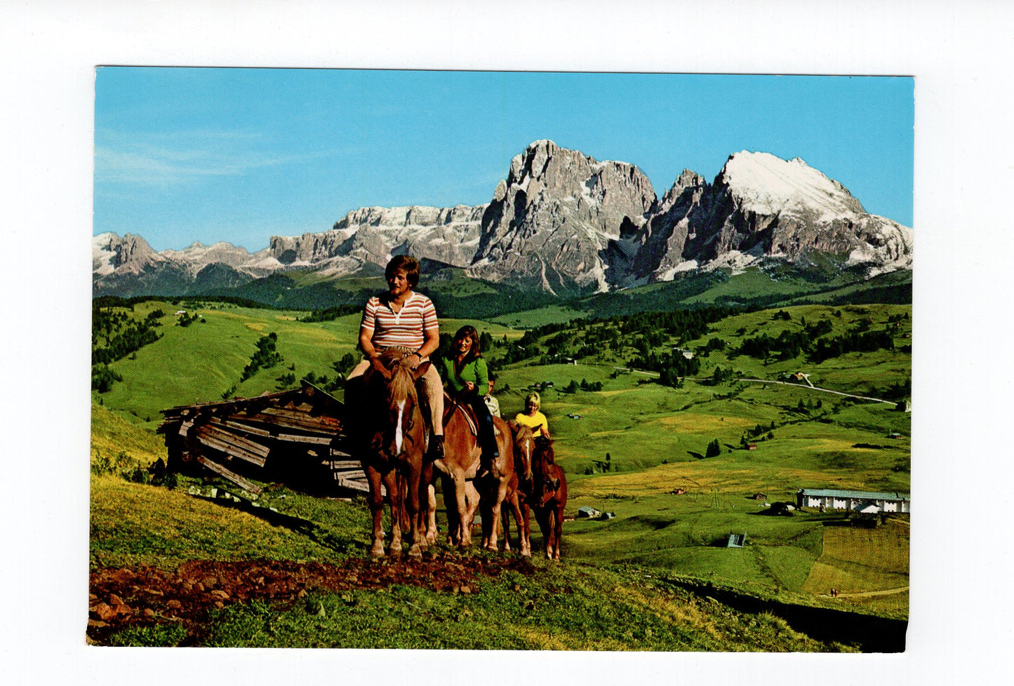 Ansichtskarte Dolomiten / Seiseralm / Reitpferde / Südtirol / Italien