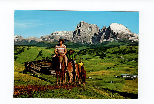 Ansichtskarte Dolomiten / Seiseralm / Reitpferde / Südtirol / Italien