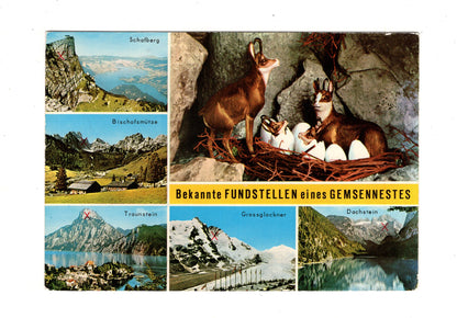 Ansichtskarte Bischofsmütze / Dachstein +++ Österreich