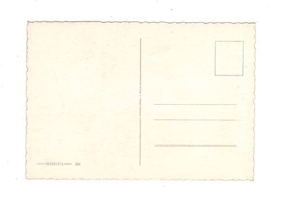 Ansichtskarte Glückwünsche / Glückwunsch zum Geburtstag / L1-59