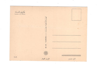 Ansichtskarte Tlecmen / Algerien