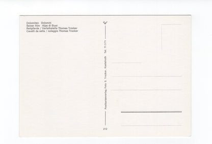 Ansichtskarte Dolomiten / Seiseralm / Reitpferde / Südtirol / Italien