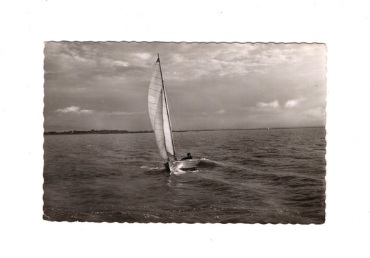 Ansichtskarte Dümmersee