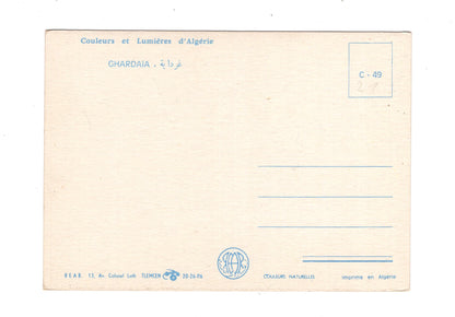 Ansichtskarte Ghardaia / Algerien