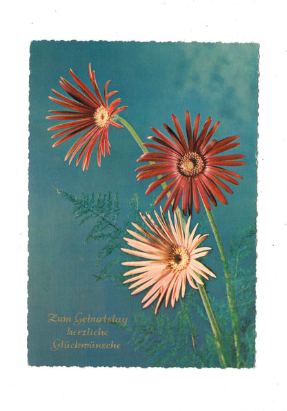 Ansichtskarte Glückwünsche / Glückwunsch zum Geburtstag / L1-59