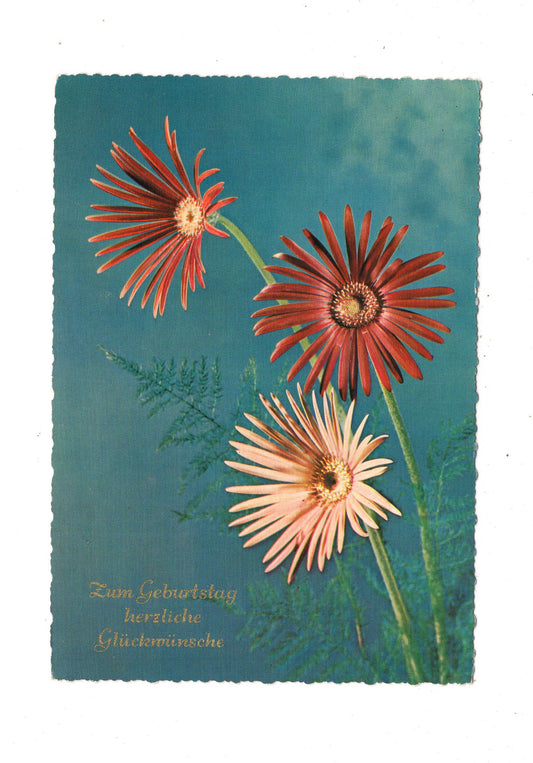 Ansichtskarte Glückwünsche / Glückwunsch zum Geburtstag / L1-59