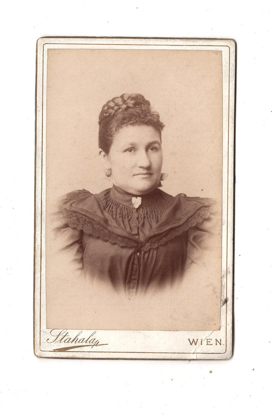 Fotografie Damenportrait - Wien 1880er / CDV N1-16