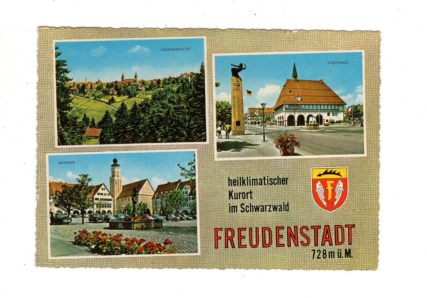 Ansichtskarte Freudenstadt im Schwarzwald / Rathaus +++ / J1-68
