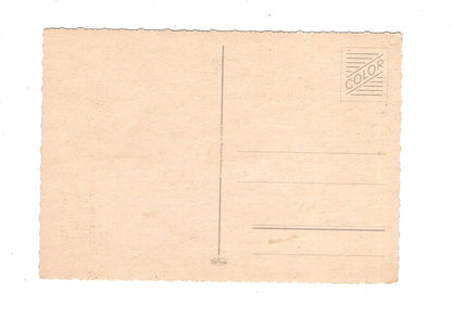 Ansichtskarte Glückwünsche / Glückwunsch zum Geburtstag / L1-59