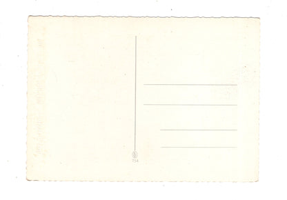 Ansichtskarte Glückwünsche / Glückwunsch zum Geburtstag / L1-59