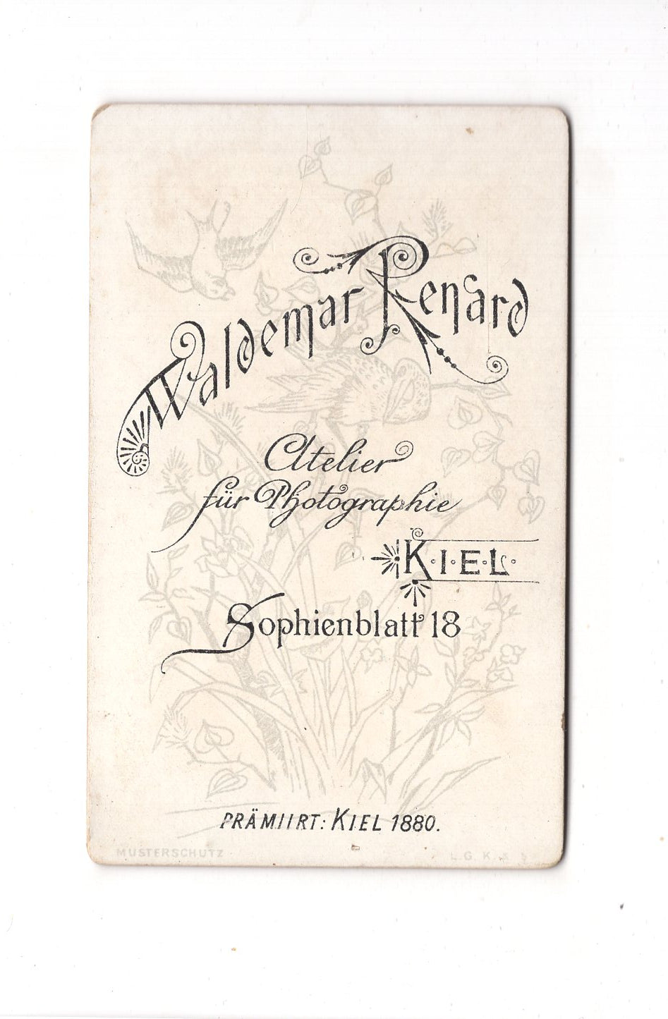 Fotografie Damenportrait - Kiel 1880er / CDV C1-06