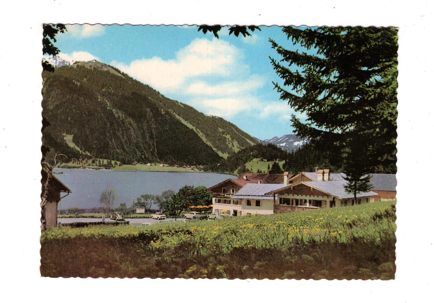 Ansichtskarte Seehof / Haller am Haldensee / Tirol / Österreich