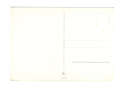 Ansichtskarte Glückwünsche / Glückwunsch zum Geburtstag / L1-59