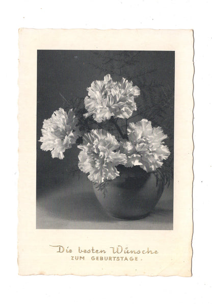 Ansichtskarte Glückwünsche / Glückwunsch zum Geburtstag / L1-59