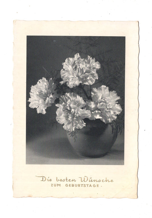 Ansichtskarte Glückwünsche / Glückwunsch zum Geburtstag / L1-59