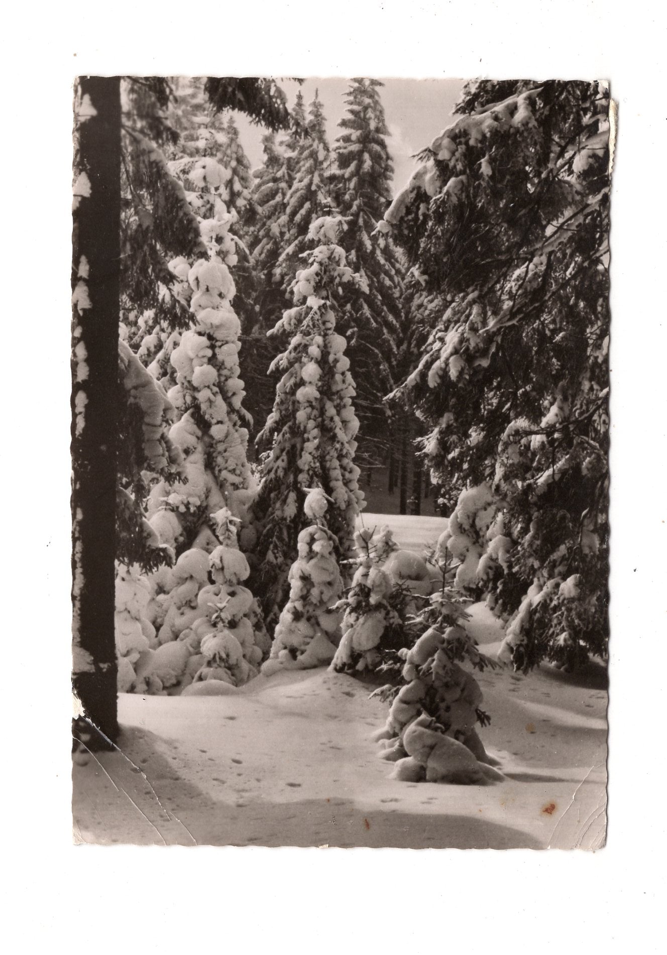 Ansichtskarte Feiertage / Frohe Weihnachten / K1-63