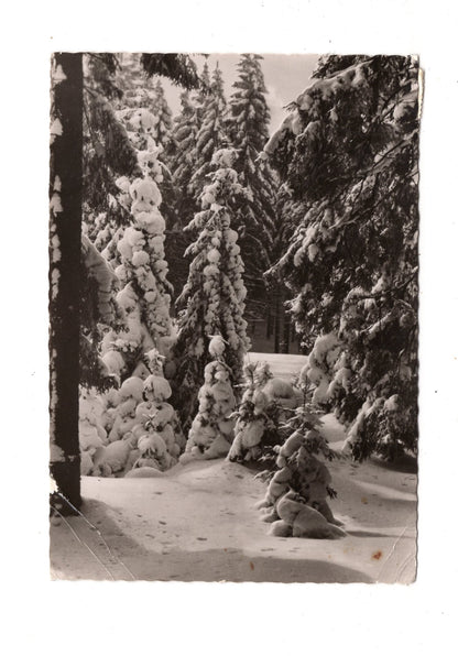 Ansichtskarte Feiertage / Frohe Weihnachten / K1-63