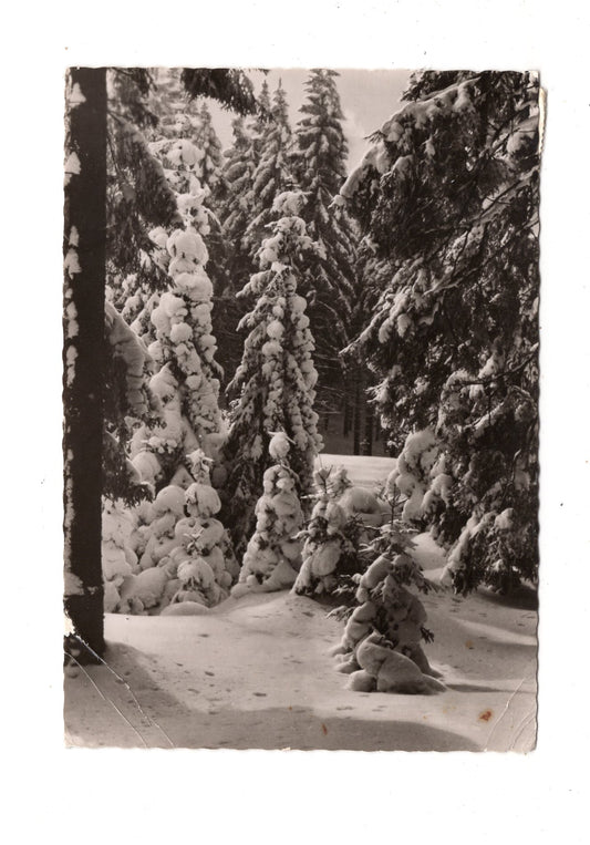 Ansichtskarte Feiertage / Frohe Weihnachten / K1-63