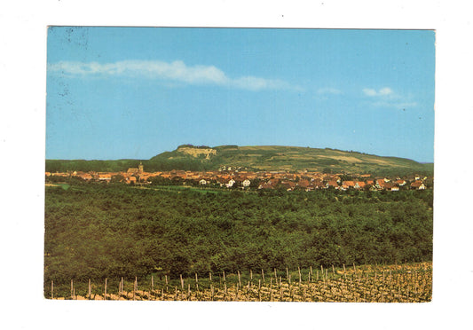 Ansichtskarte Weinort Sasbach am Kaiserstuhl